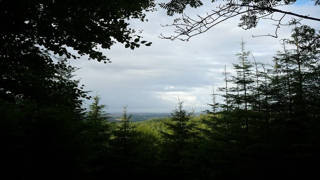 Climb the mountain range Jyske Ås