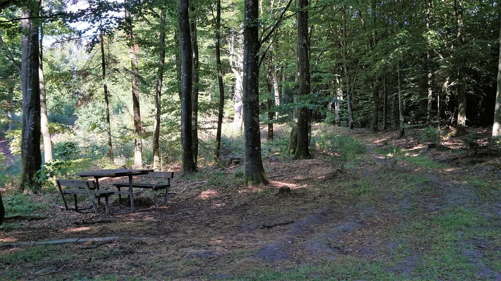 Climb the mountain range Jyske Ås