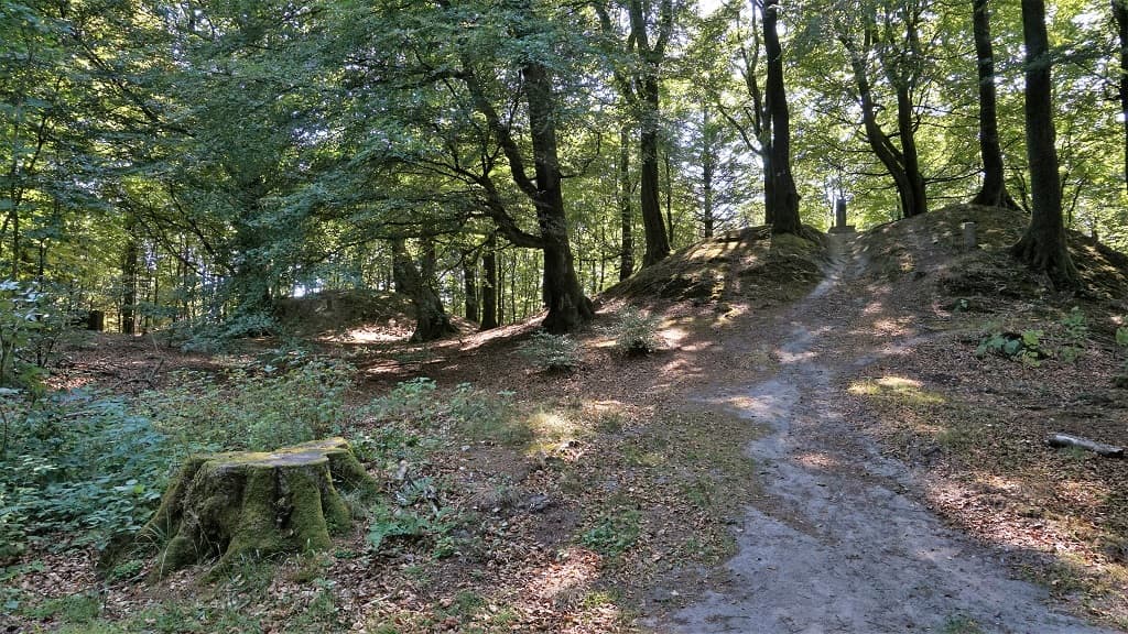 Climb the mountain range Jyske Ås