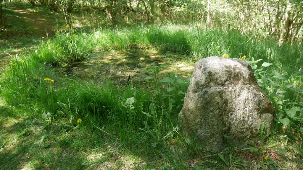 Asdal Helligkilde (holy well)