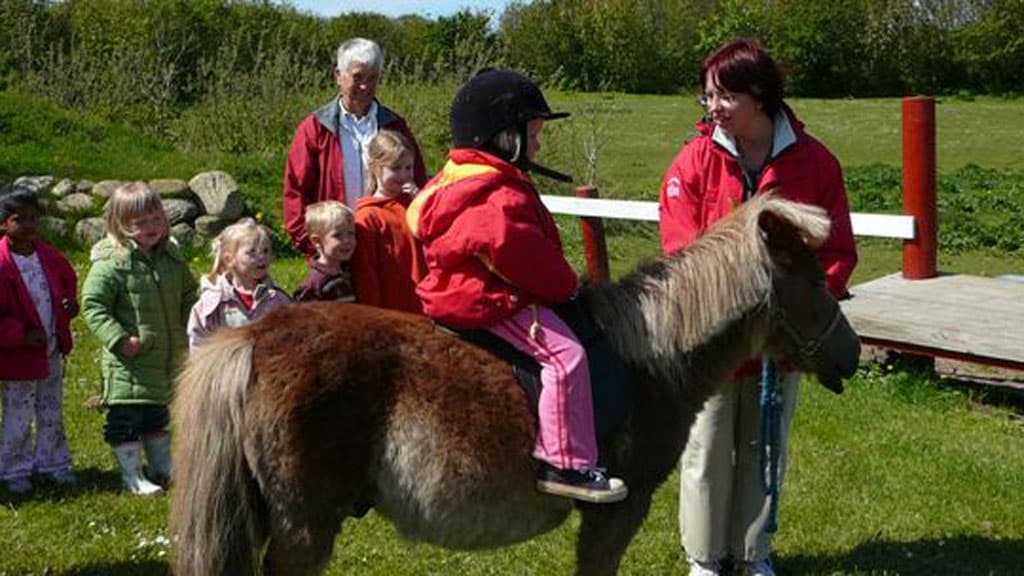 Pony-Ride in Family Farm FUN Park