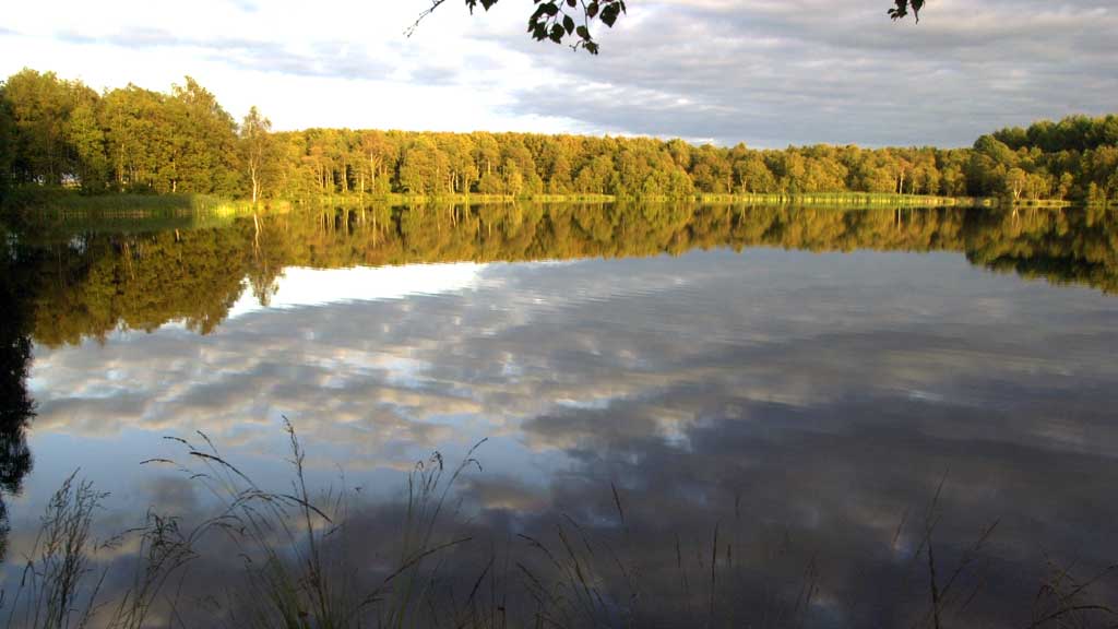 Estrup Dam