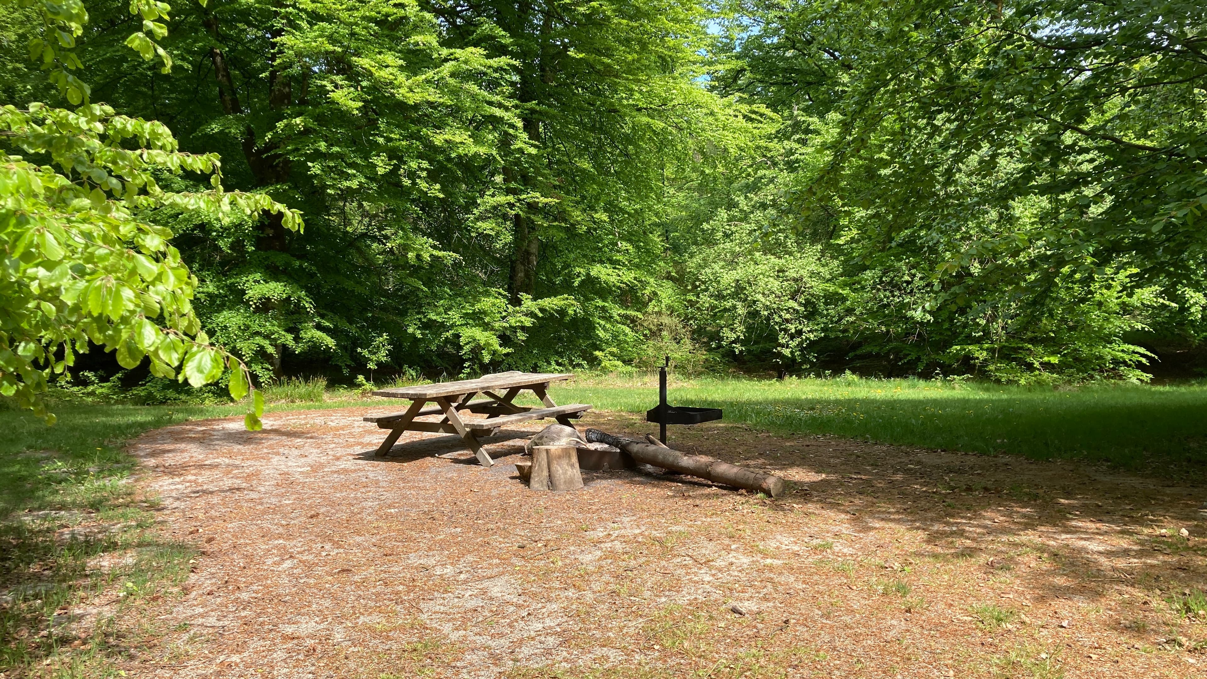 The Urskov campfire site at the troll forest