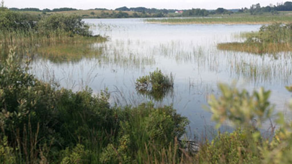 Navnsø