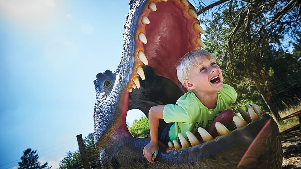 Have a wild day at GIVSKUD ZOO