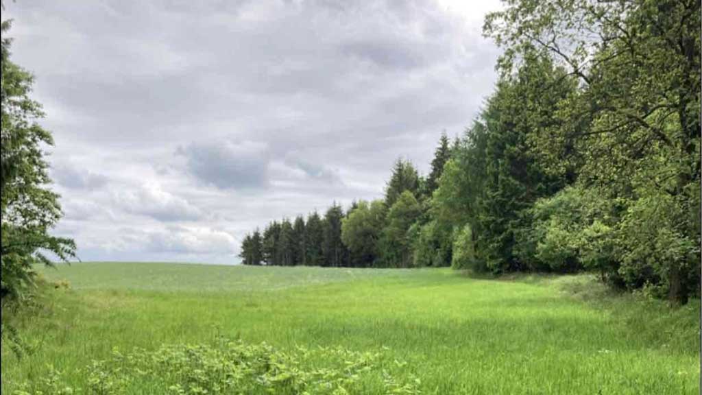 Kærsgaard Primitiv overnatningsplads