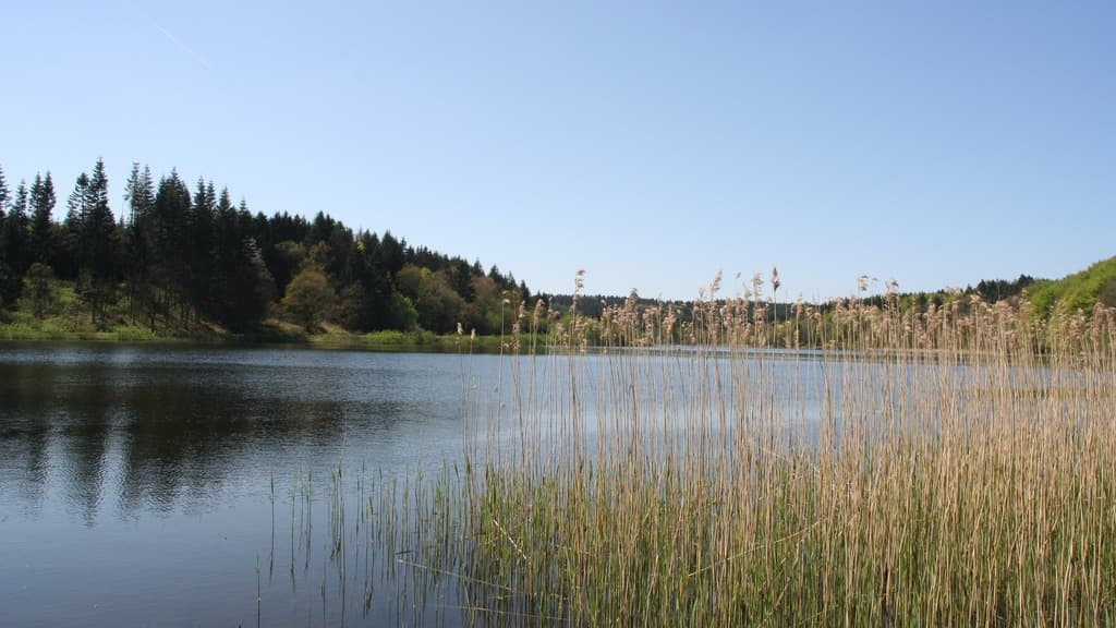 Bryrup Langsø view